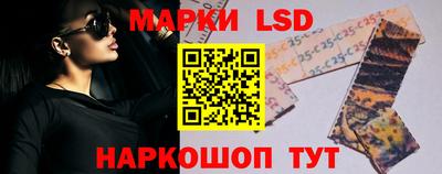стафф Камышлов