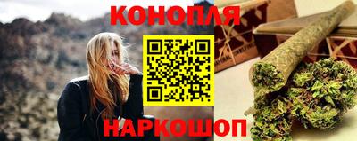 стафф Камышлов