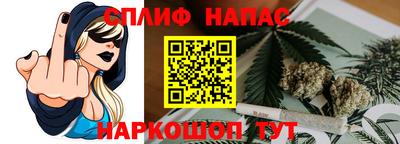 стафф Камышлов