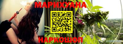спайс Кандалакша